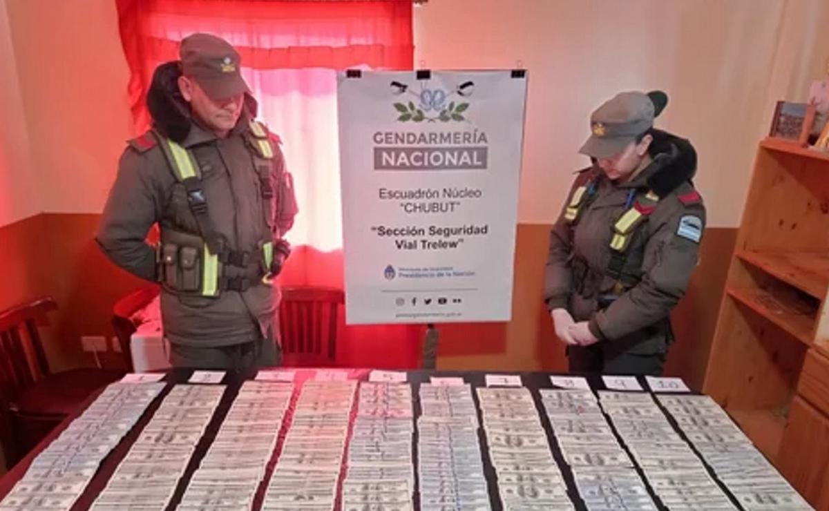 Gendarmería secuestró más de 96 mil dólares en Chubut.