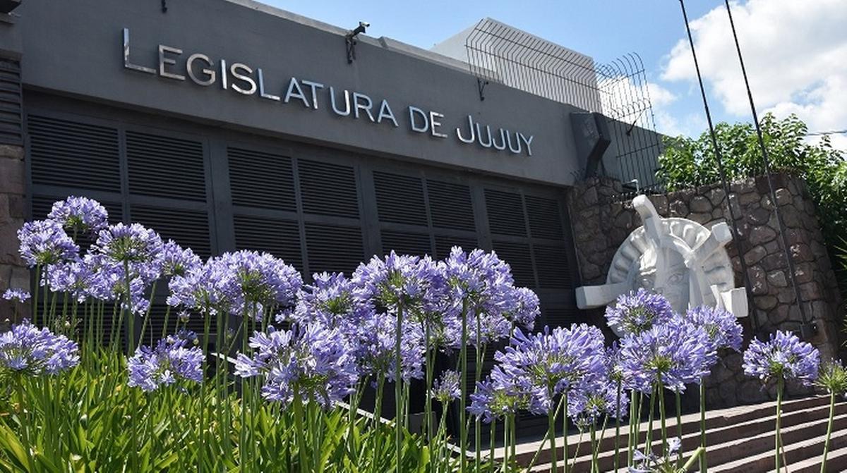 Guardianes civiles: una nueva lucha contra la trata