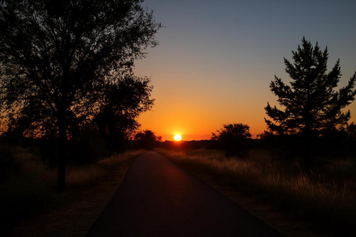 Clima en Mendoza: pronóstico del tiempo para el 2 de enero
