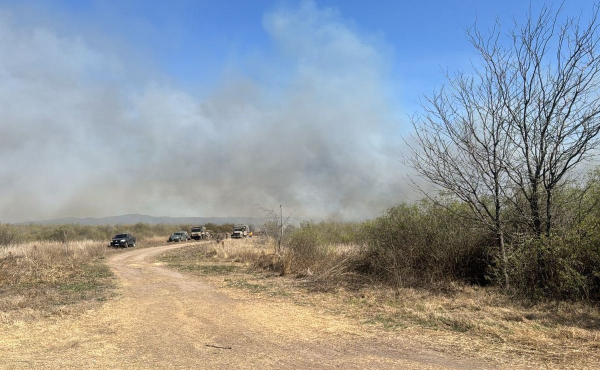 FOTO: Nuevo incendio cerca de la autopista Córdoba-Carlos Paz. (Celeste Benecchi/Cadena 3)