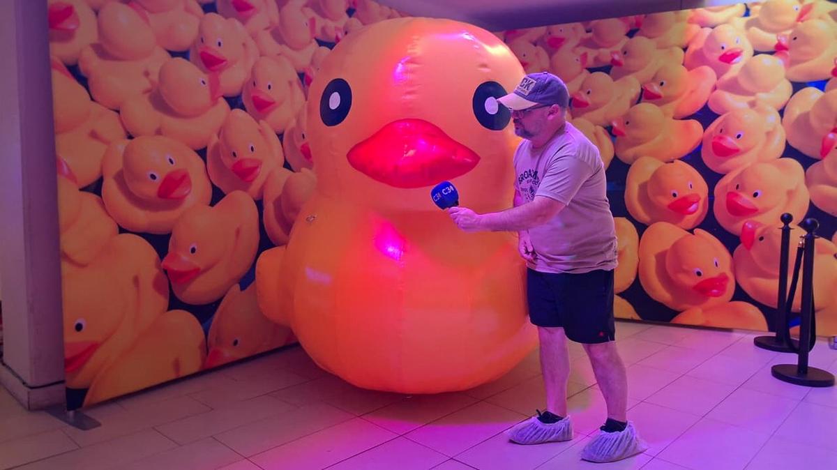 Love Up: la exposición interactiva que cautiva Mar del Plata este verano