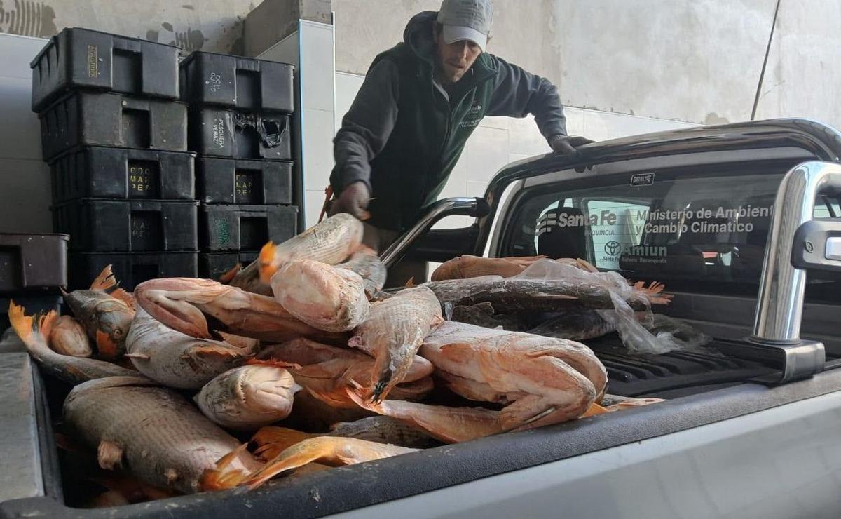 Operativos para combatir la caza y la pesca ilegal en Santa Fe.