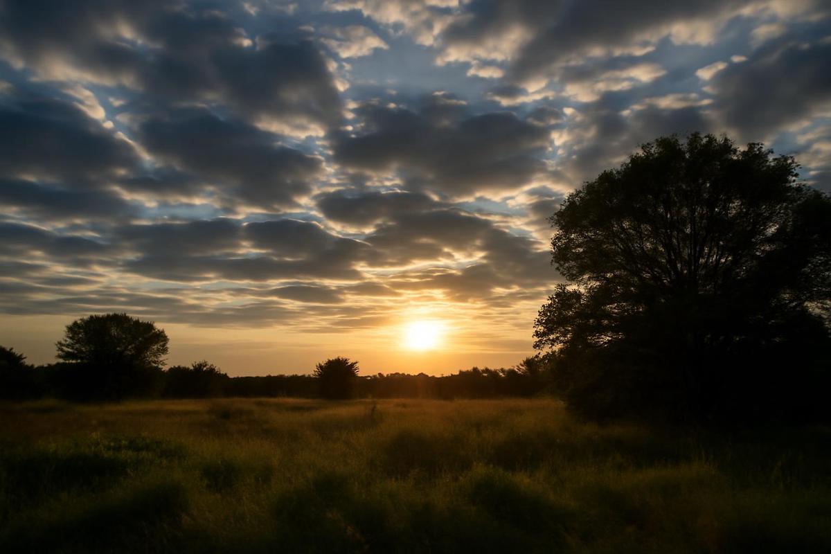 Estado del tiempo en Tucumán para el 7 de diciembre