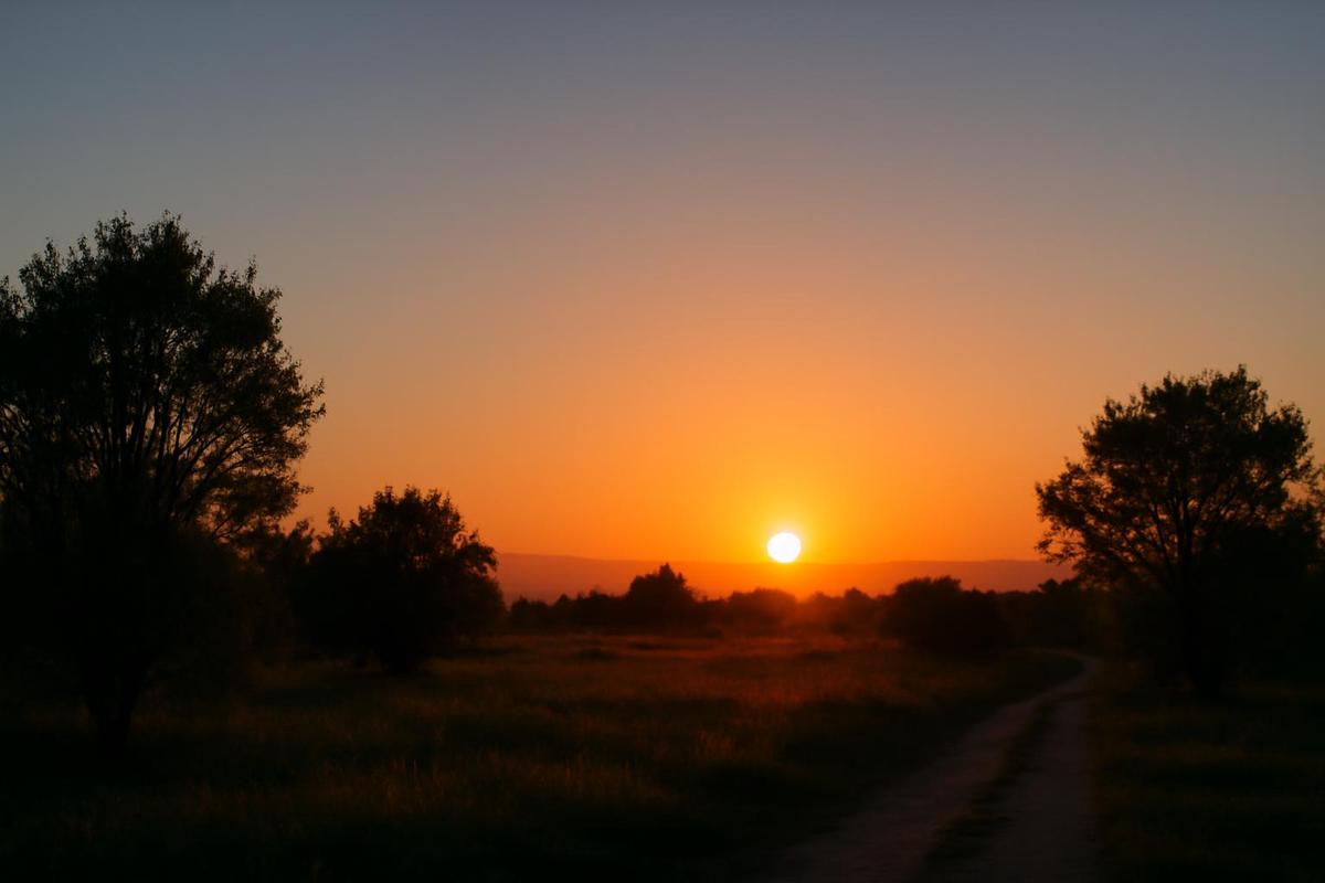 Clima en Mendoza: pronóstico del tiempo para el 10 de diciembre