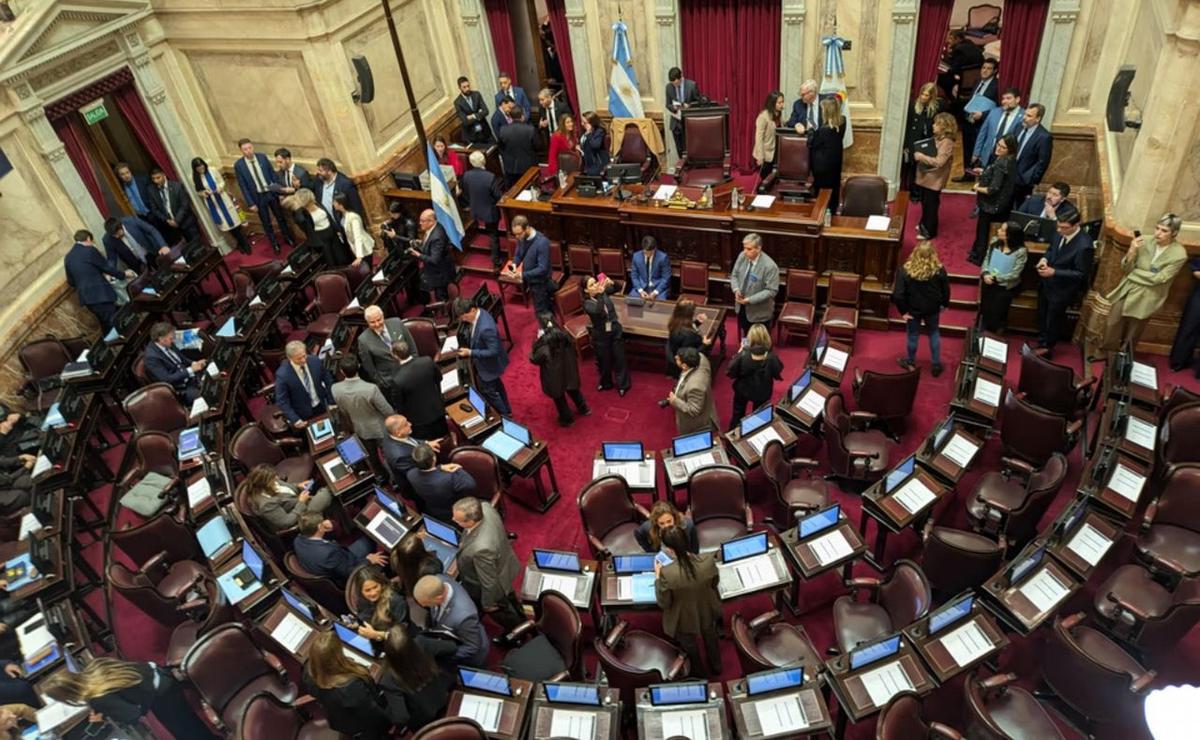 El Senado postergó el debate por la Ley de Propiedad Privada hasta agosto.