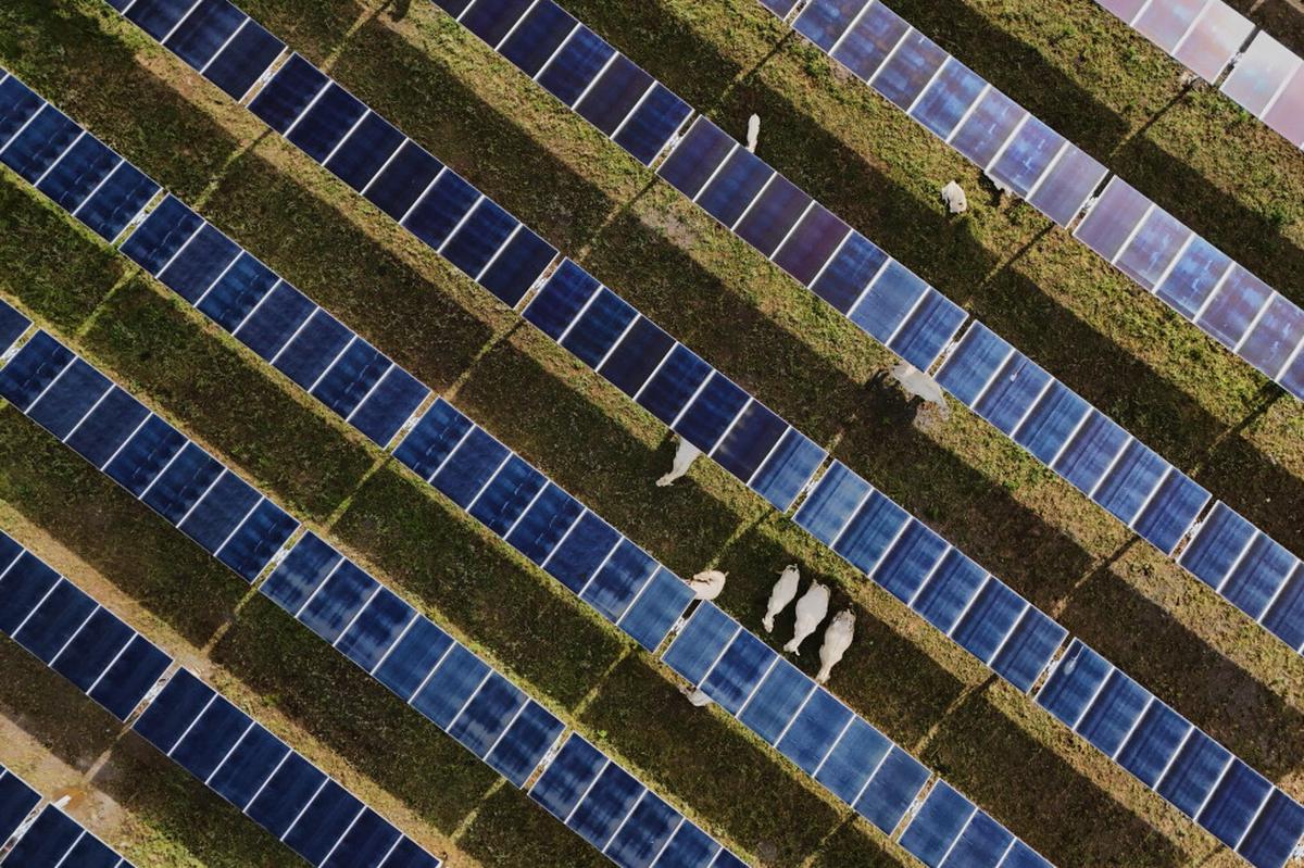 La energía solar alcanza nuevos hitos en EE.UU. mientras Trump prioriza el carbón a las renovables