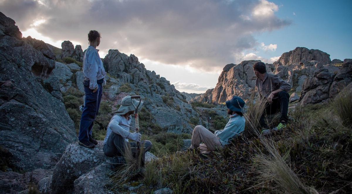 Ecosistemas Argentinos se enfoca en recuperar la naturaleza.