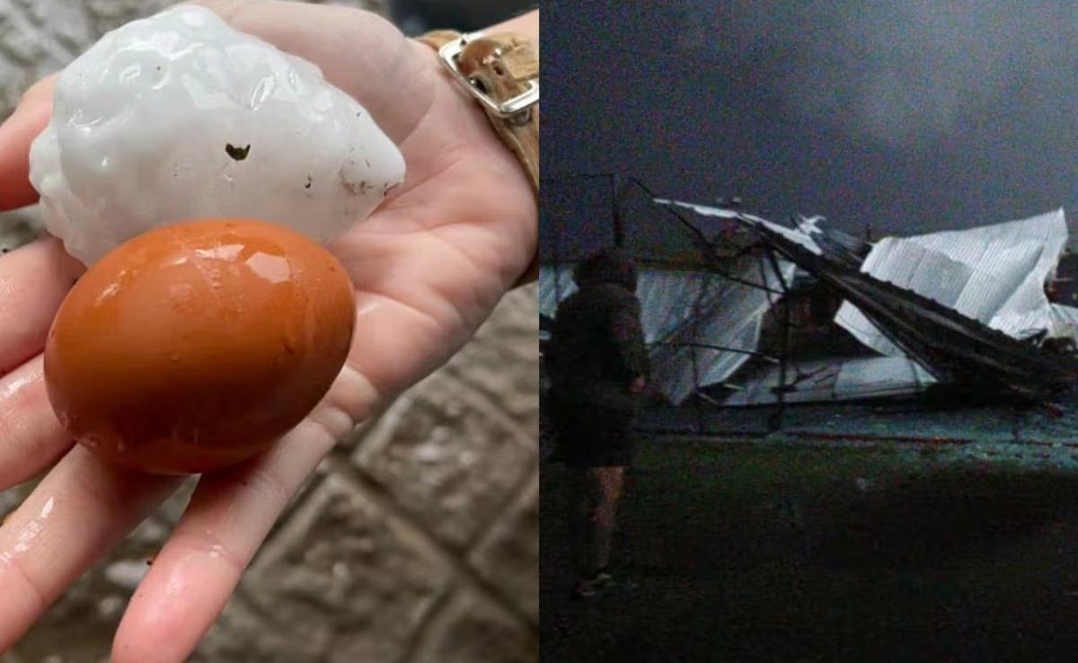 Devastadora tormenta en Bolívar, en la provincia de Buenos Aires. (Foto: gentileza)
