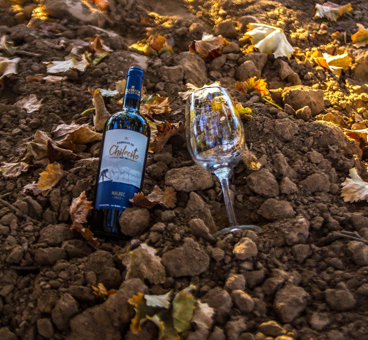 Ruta del Vino Riojano