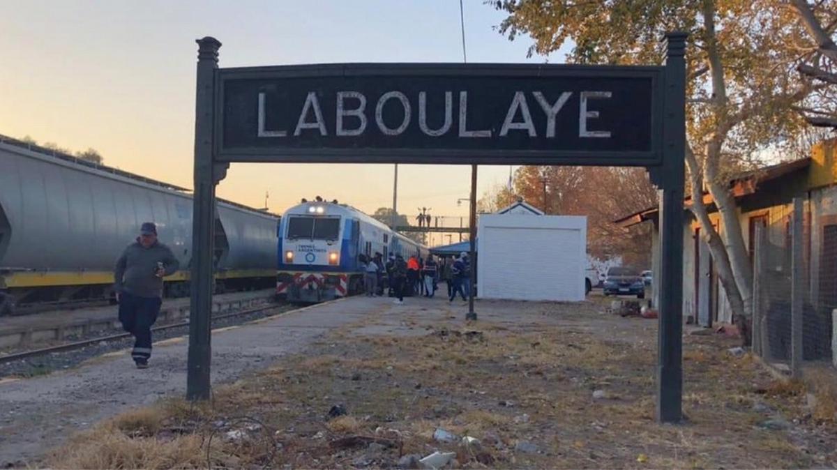 FOTO: Dos hombres mataron a mazazos a un perro en Laboulaye: exigen justicia