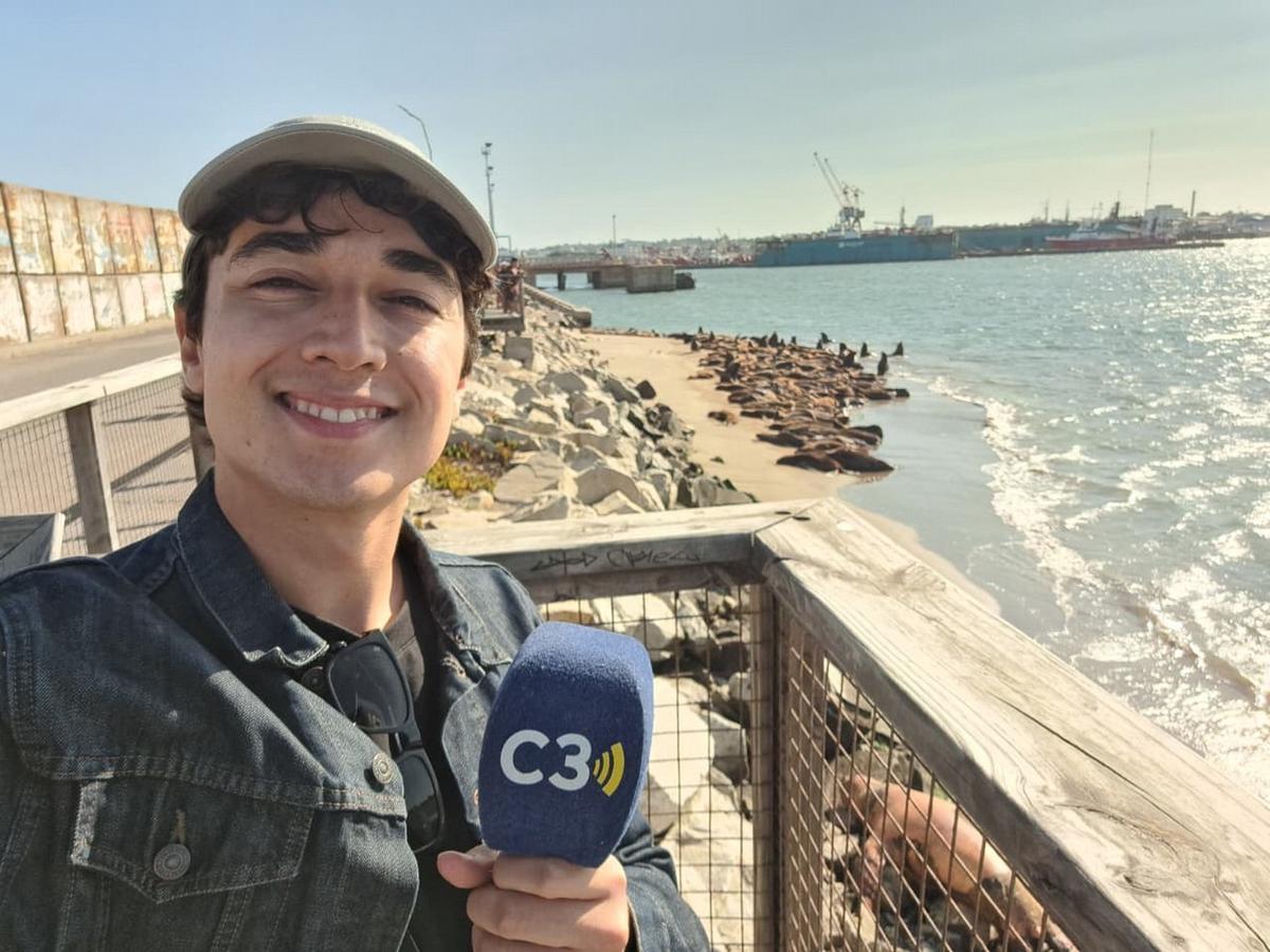 La reserva de lobos marinos, un plan familiar en Mar del Plata.