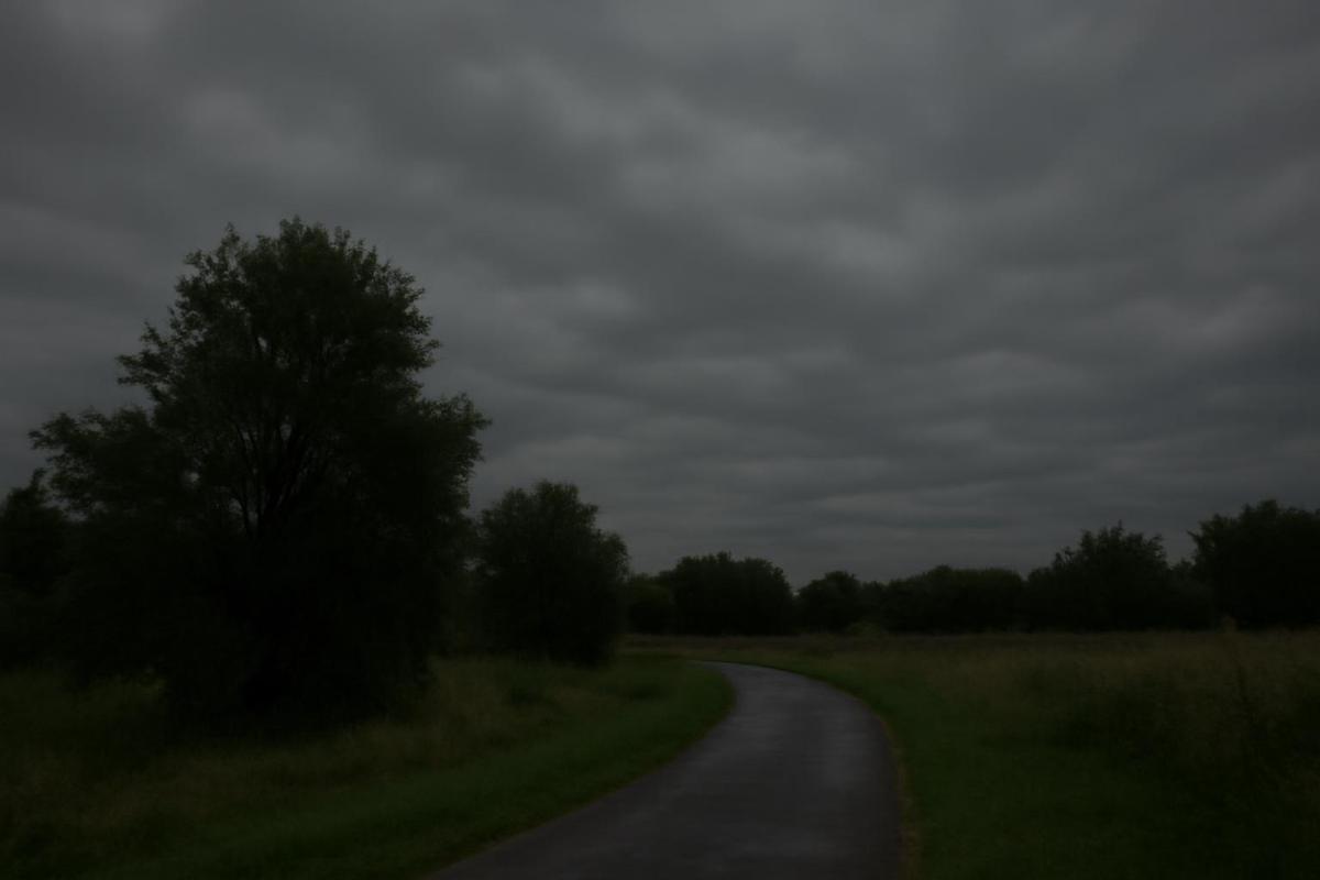 Clima en CABA: pronóstico del tiempo para el 10 de julio