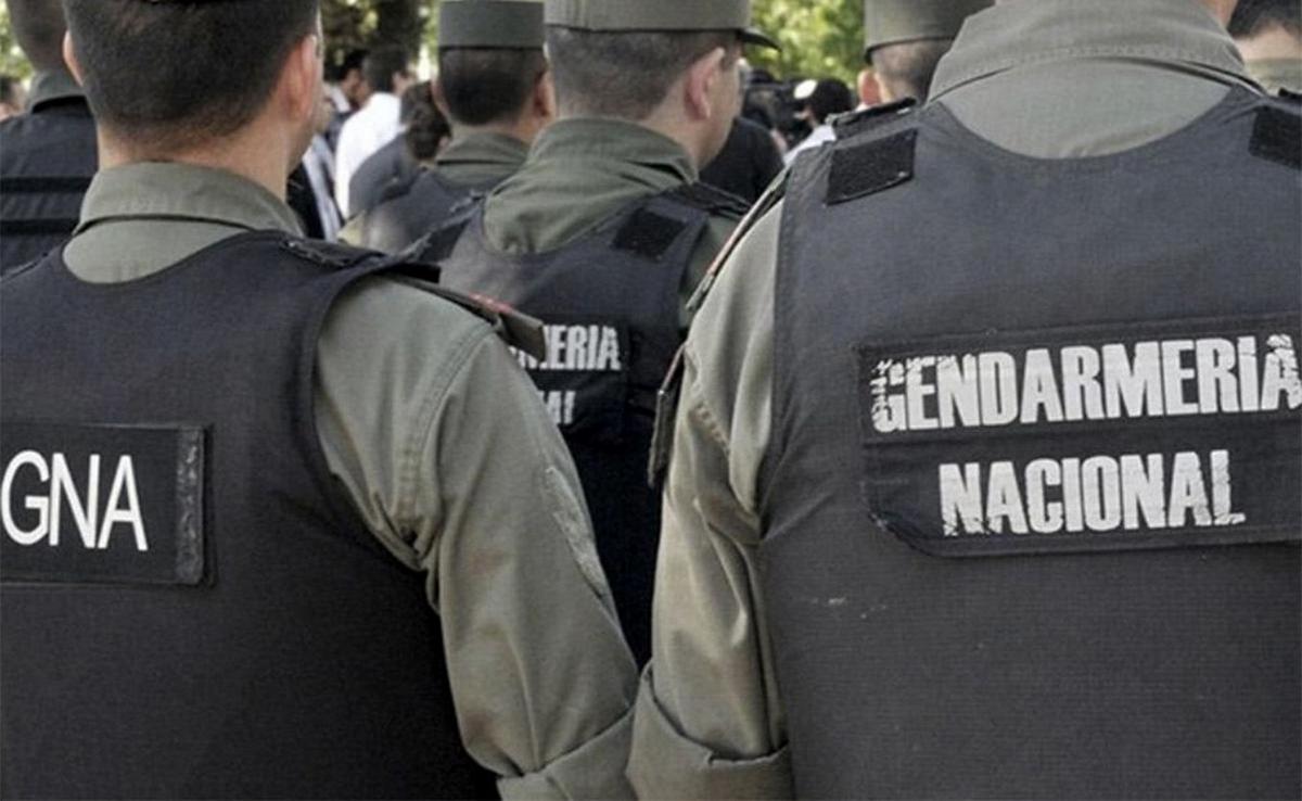 Gendarmería interceptó casi 300 kilos de hojas de coca