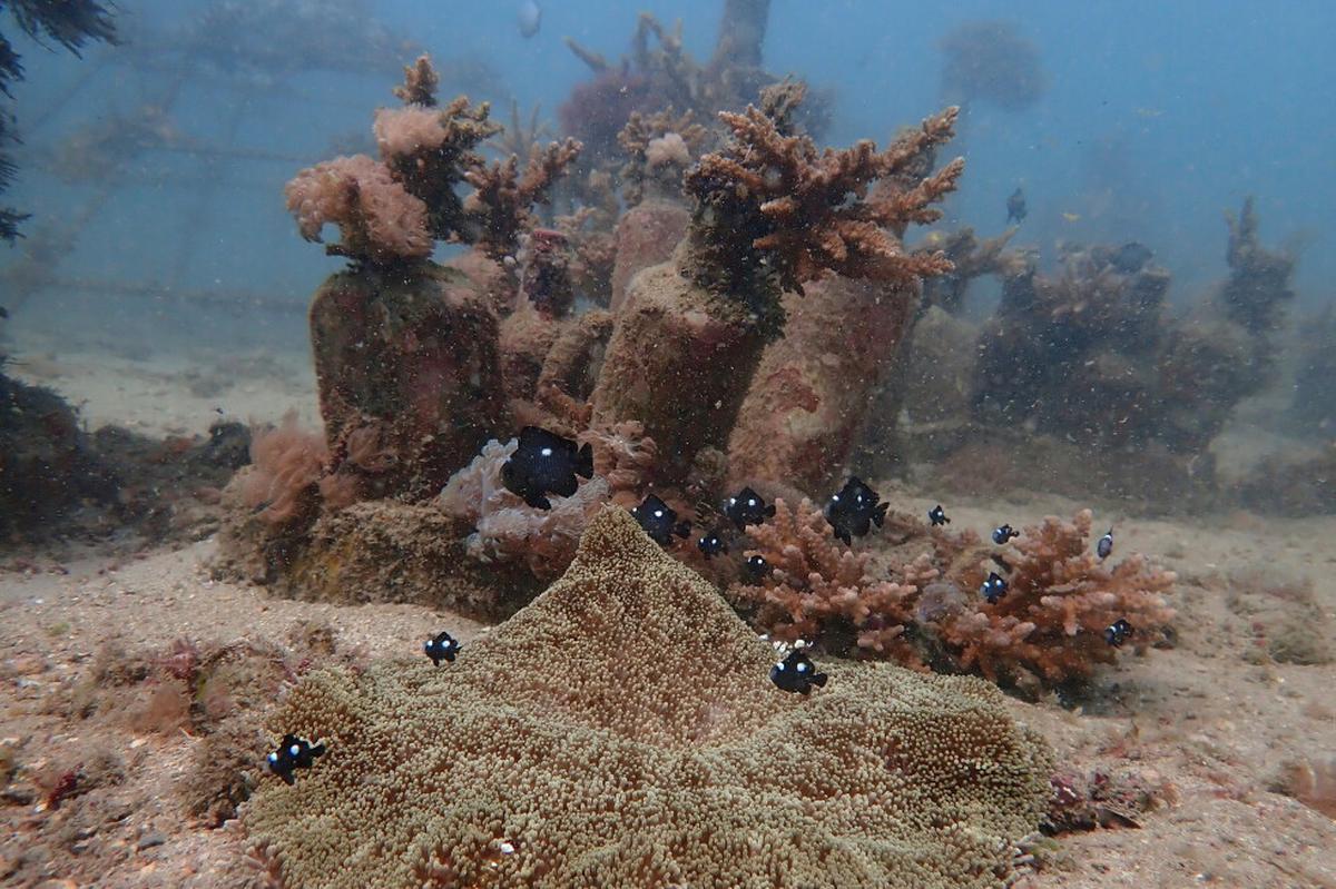 Países de África y la Commonwealth piden en Kenia aplicar rápido un tratado oceánico clave