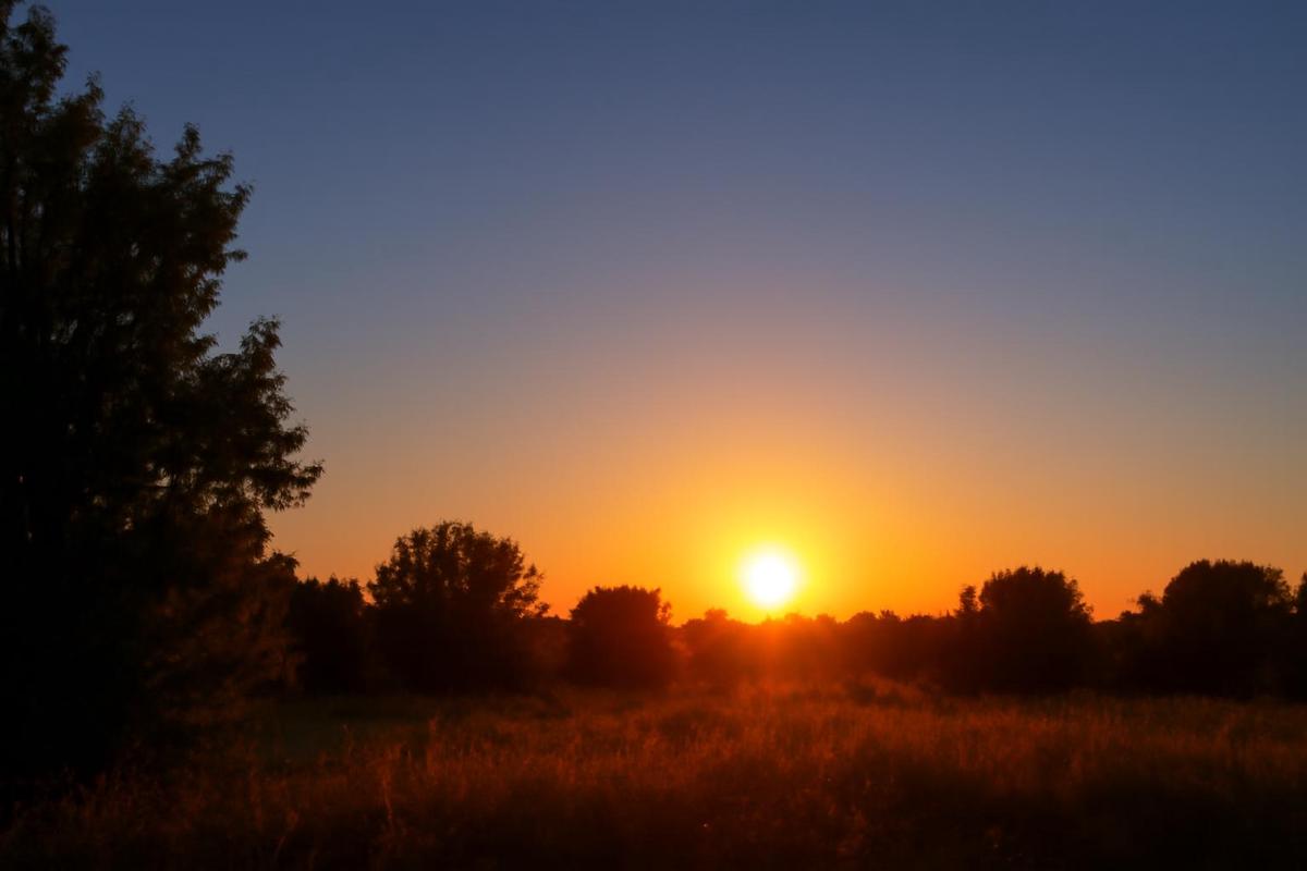 Clima en Mendoza: pronóstico del tiempo para el sábado 3 de enero