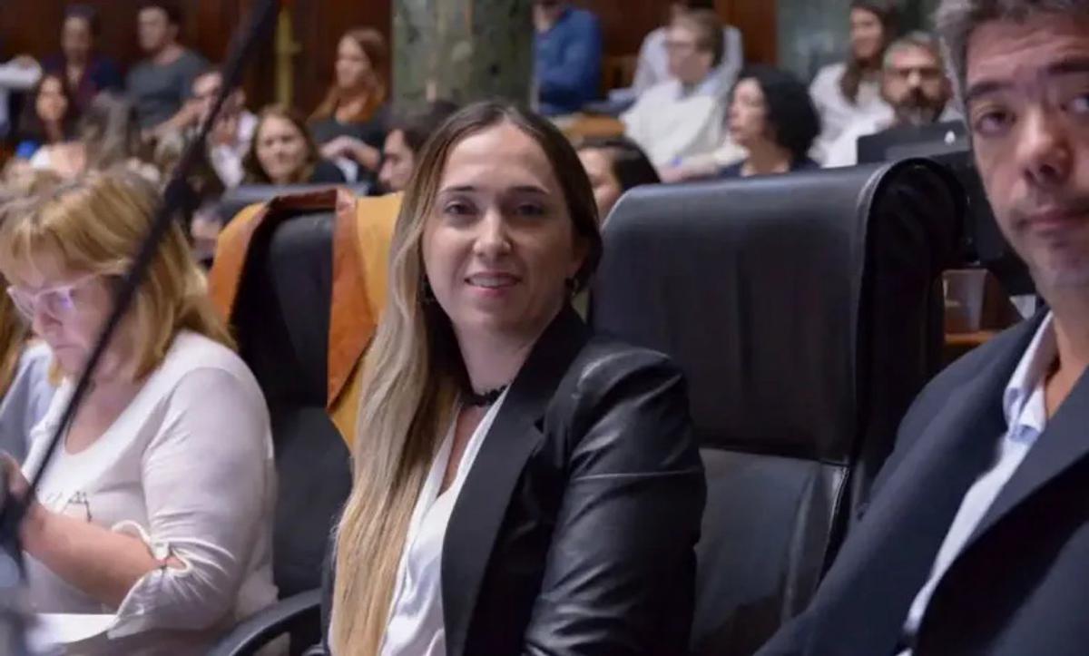 María Sol Méndez, nueva presidenta de Español, en la Legislatura Porteña.