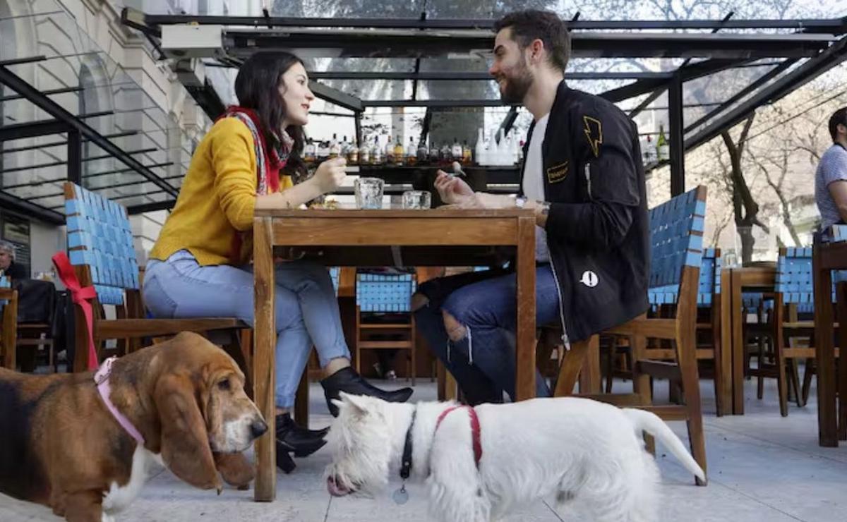 FOTO: Bares pet friendly, lo que se viene en Rosario.