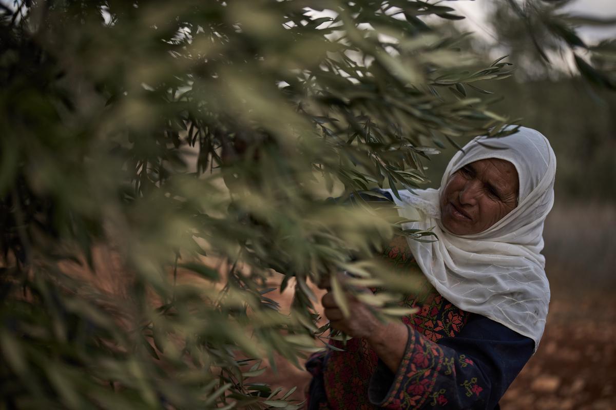 Arabia Saudí ejecuta a 2 bangladesíes por