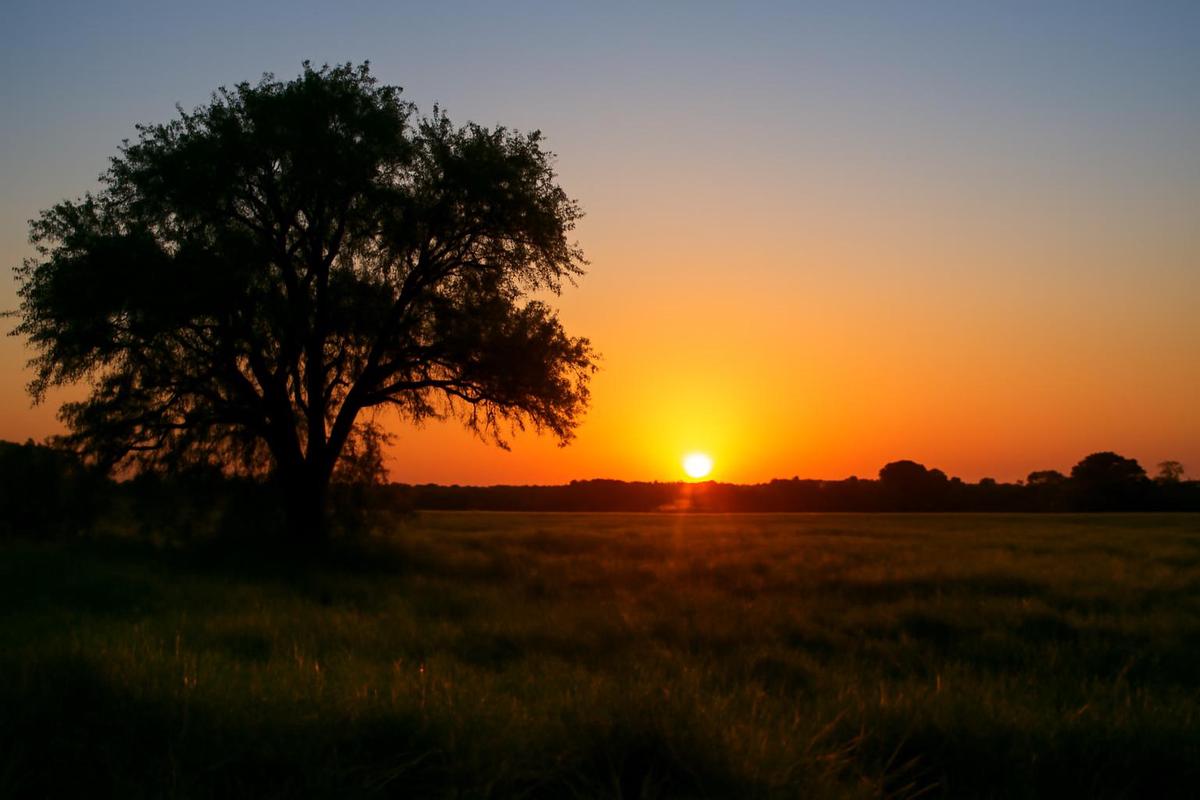 Clima en Santa Fe: pronóstico para el 13 de enero