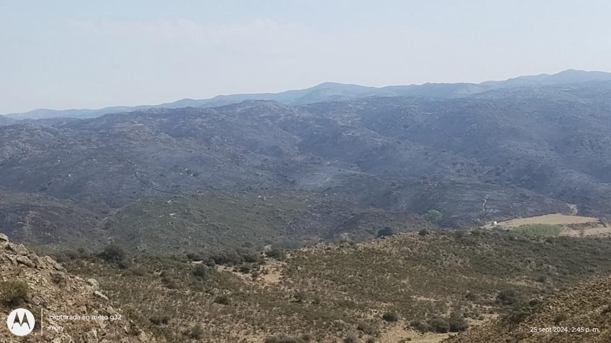 FOTO: Ariel Gutierrez, intendente de Cañada de Río Pinto, combate el fuego 