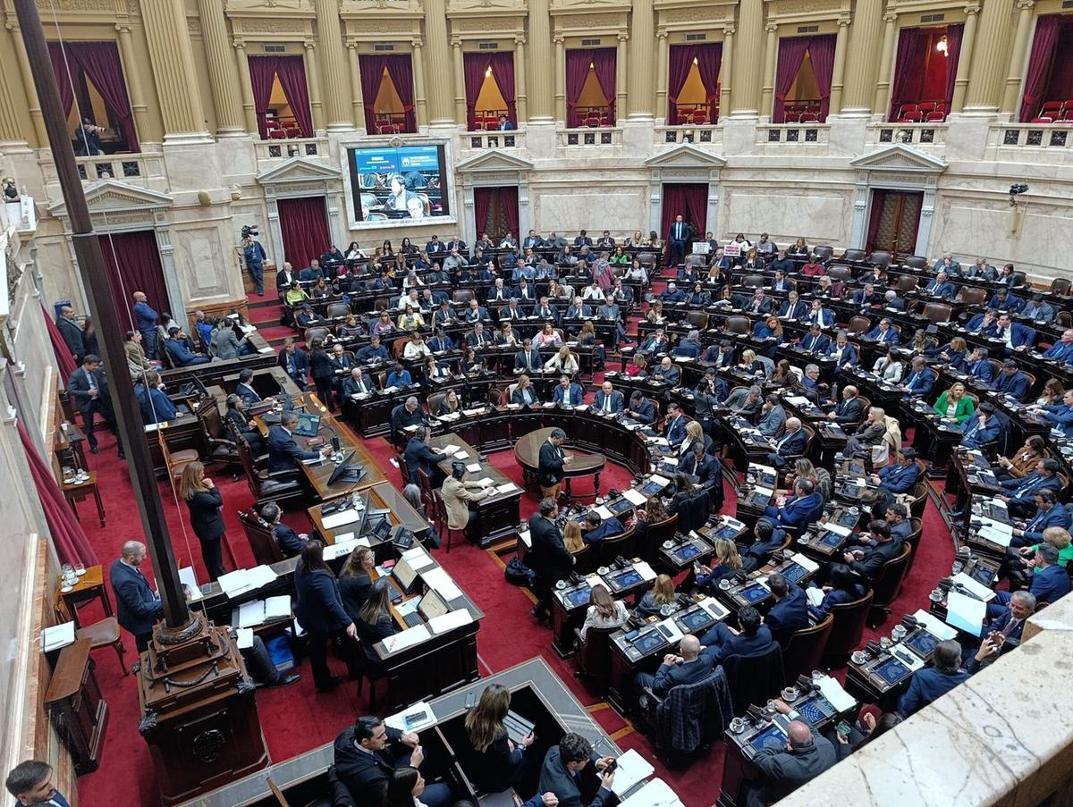 Se debate el Súper RIGI en la Cámara de Diputados. (Foto: NA)