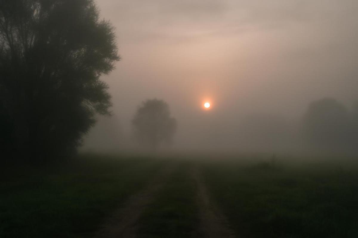 Clima en Córdoba: pronóstico del tiempo para el sábado 28 de marzo