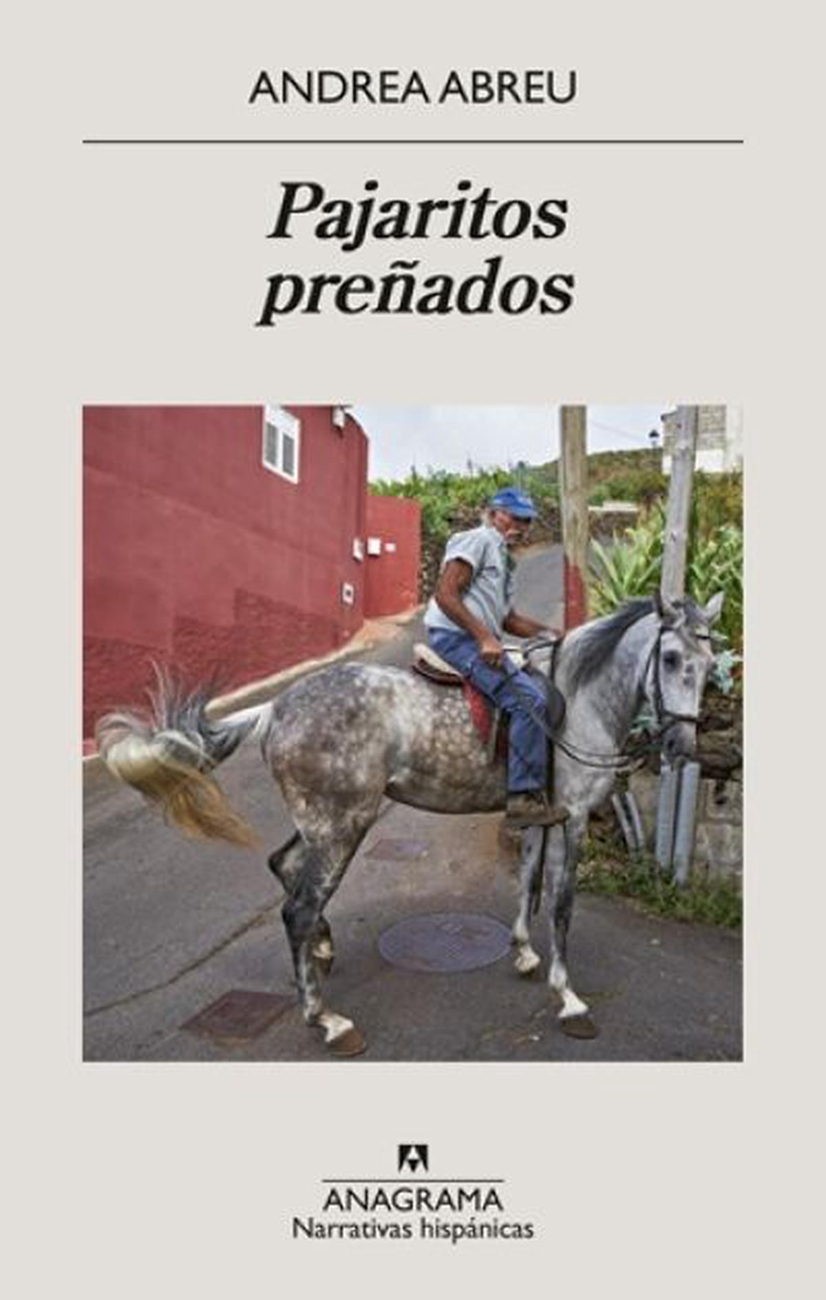 Pajaritos preñados: un viaje por la adolescencia y la búsqueda de identidad
