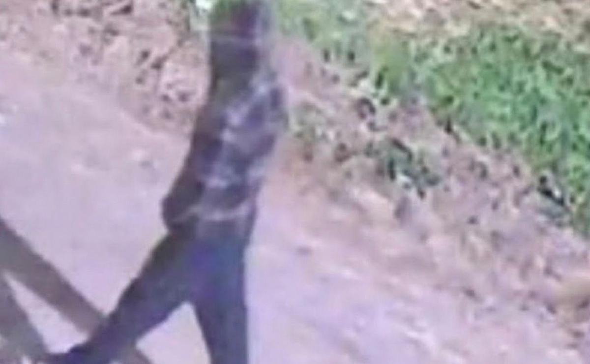 Las imágenes permitieron reconstruir el recorrido de un hombre que habría sustraído un televisor.