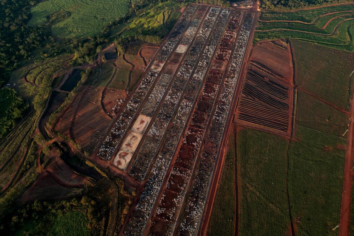 Brasil acusa a la UE de bloquear exportaciones de productos de origen animal a partir de septiembre