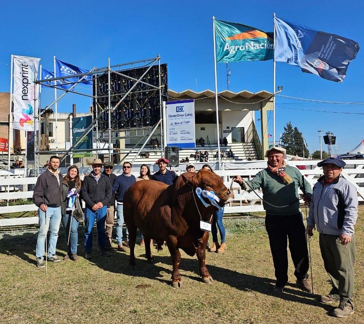 FOTO: En Río Cuarto. La raza debutó en la Expo Rural y promete seguir creciendo.  