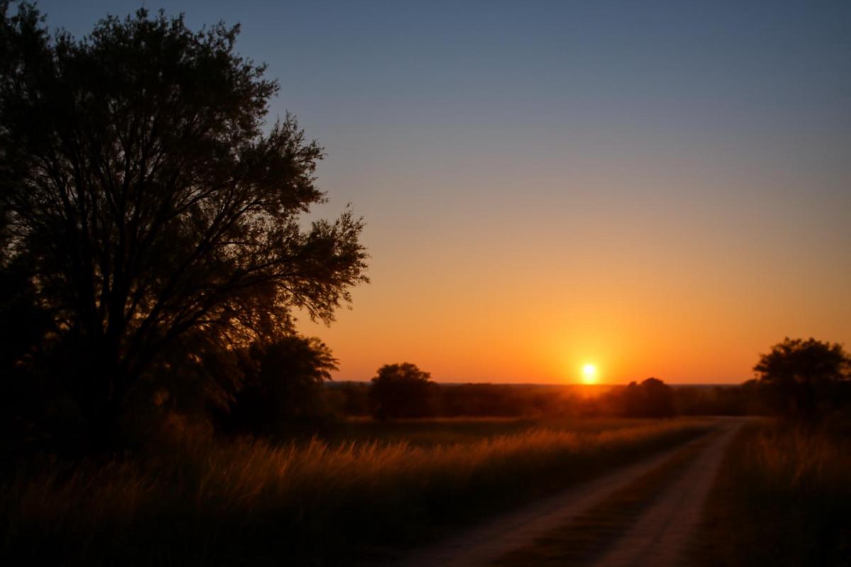 Clima soleado y cálido en Mendoza para este martes 6 de enero