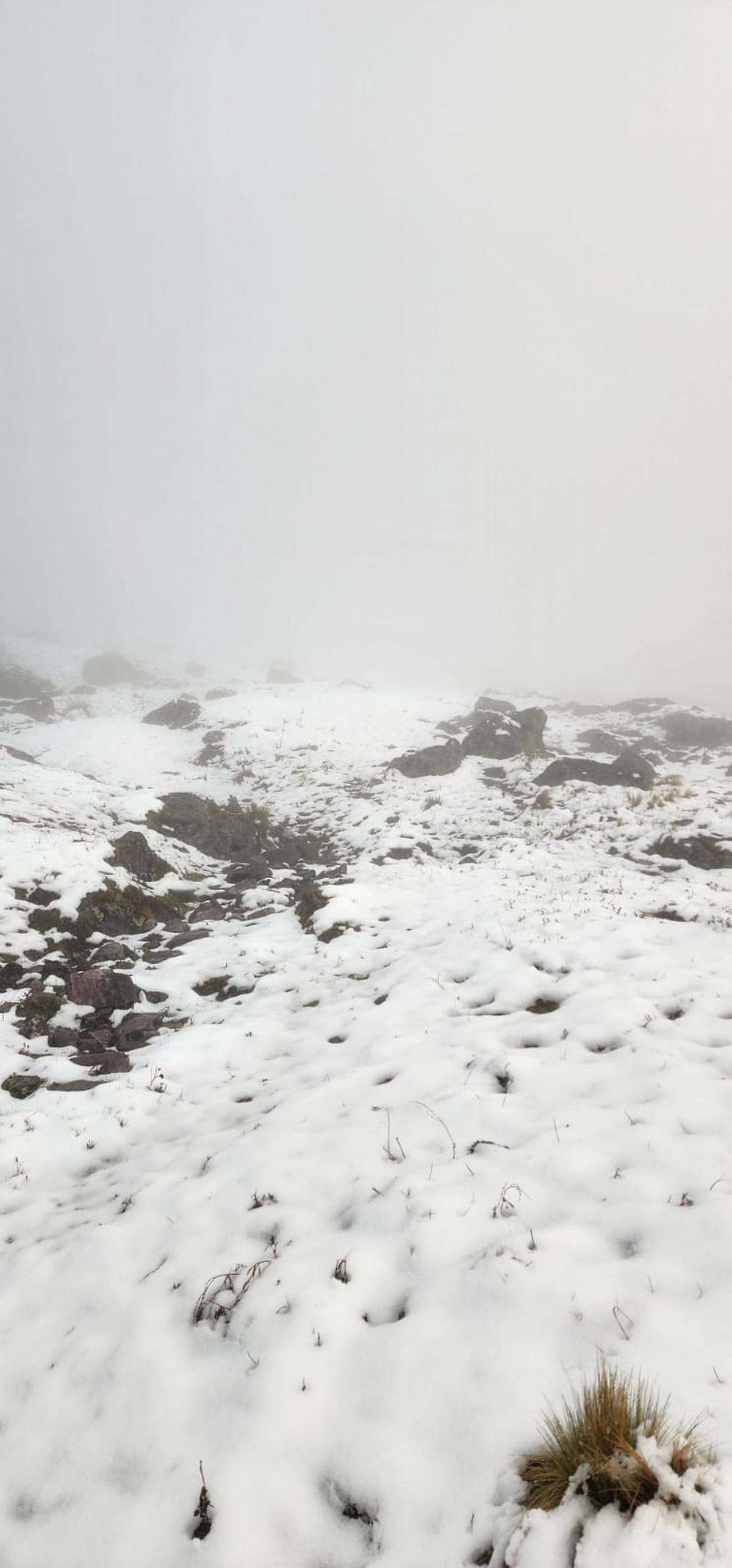 La nieve sorprendió a los cerros de Jujuy.