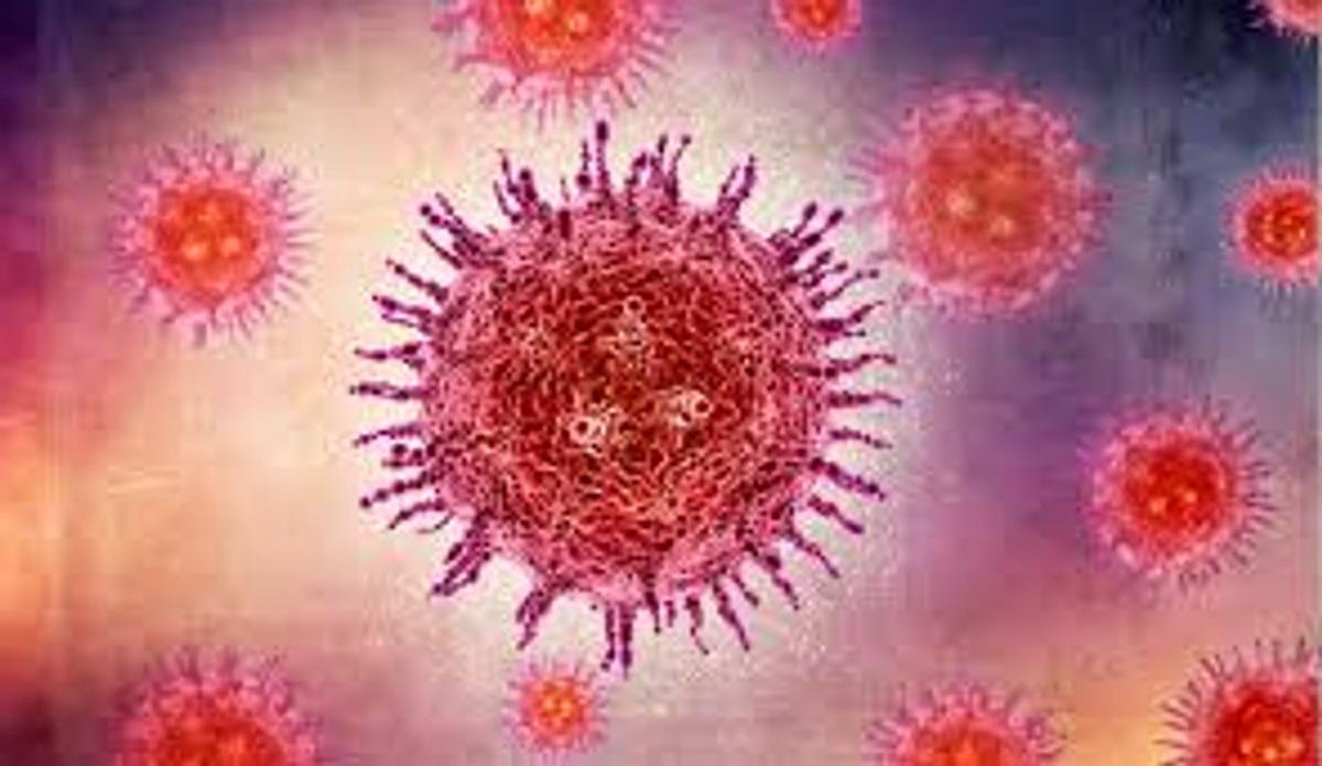 Virus Nipah: un peligro zoonótico con alta mortalidad y transmisión animal-humano