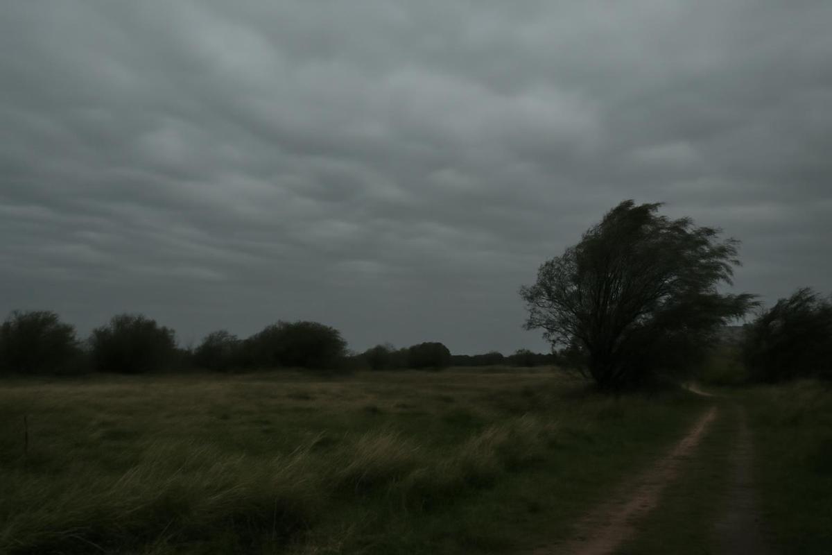 Clima en CABA: pronóstico del tiempo para el 28 de septiembre