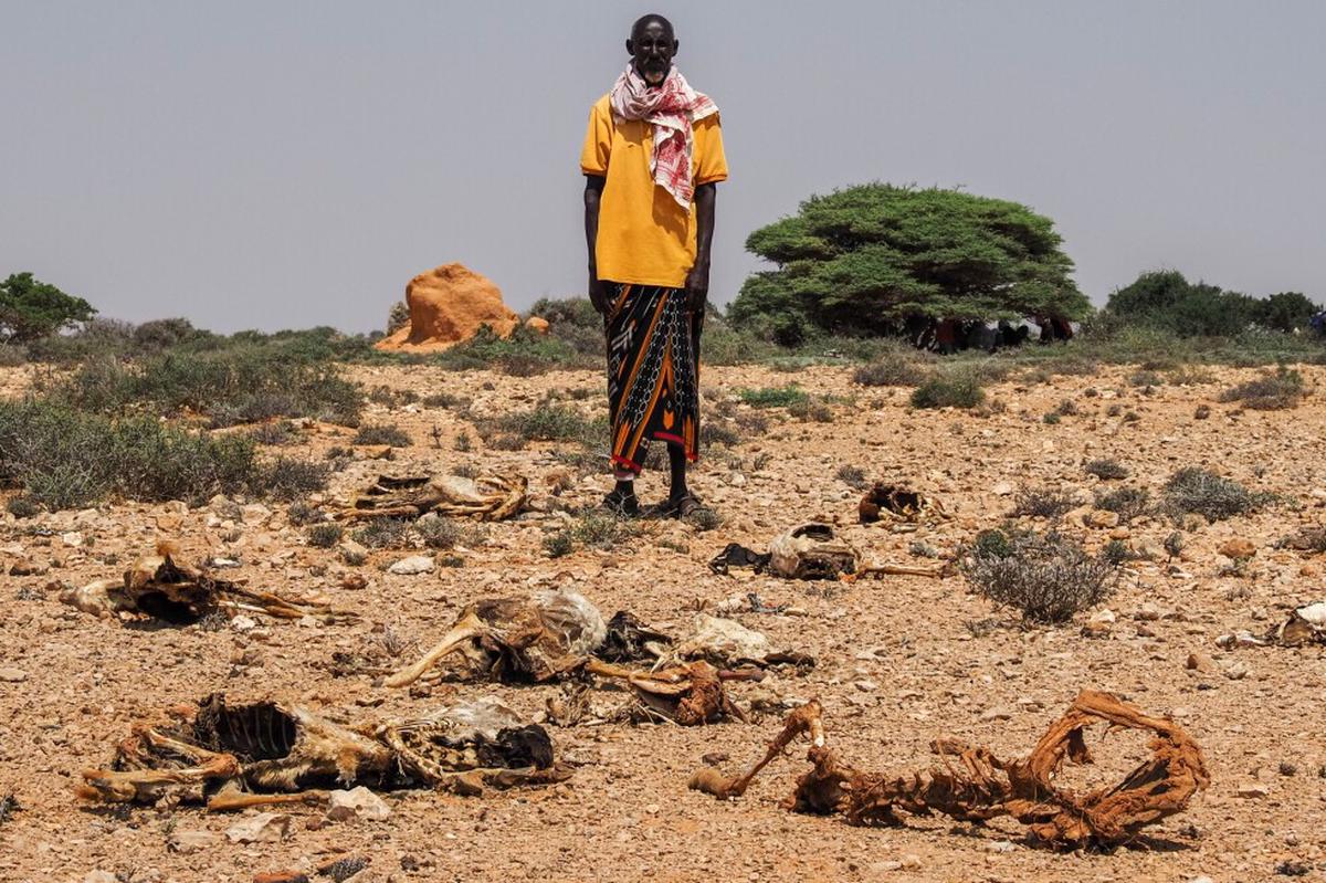 Somalia sufre otra sequía mortal. Esta vez falta la mayor parte de la ayuda humanitaria