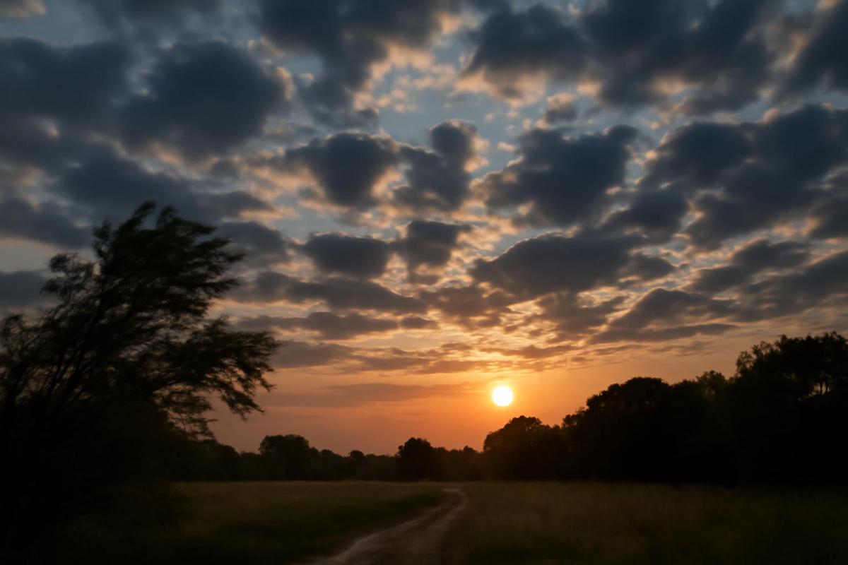 Clima en CABA: pronóstico del tiempo para el 8 de enero
