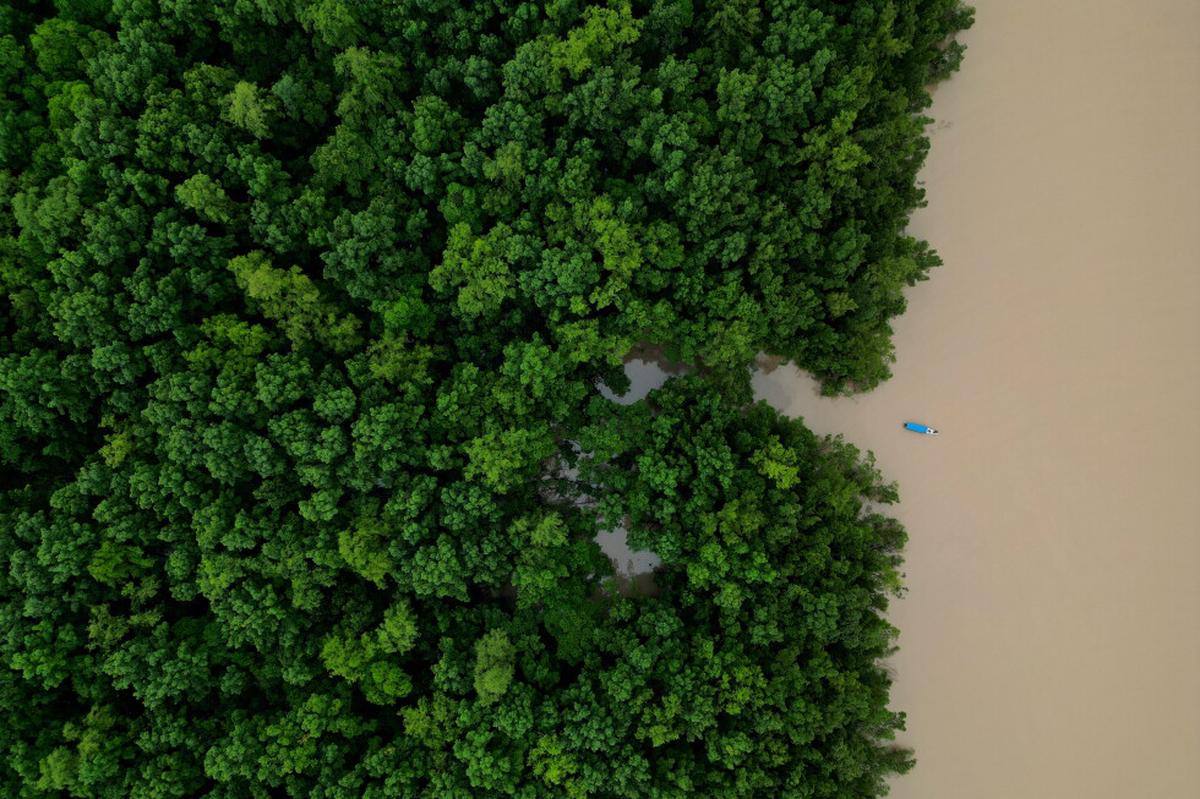 Brasil destinará 617,5 millones de dólares a inversión ecológica en la Amazonía