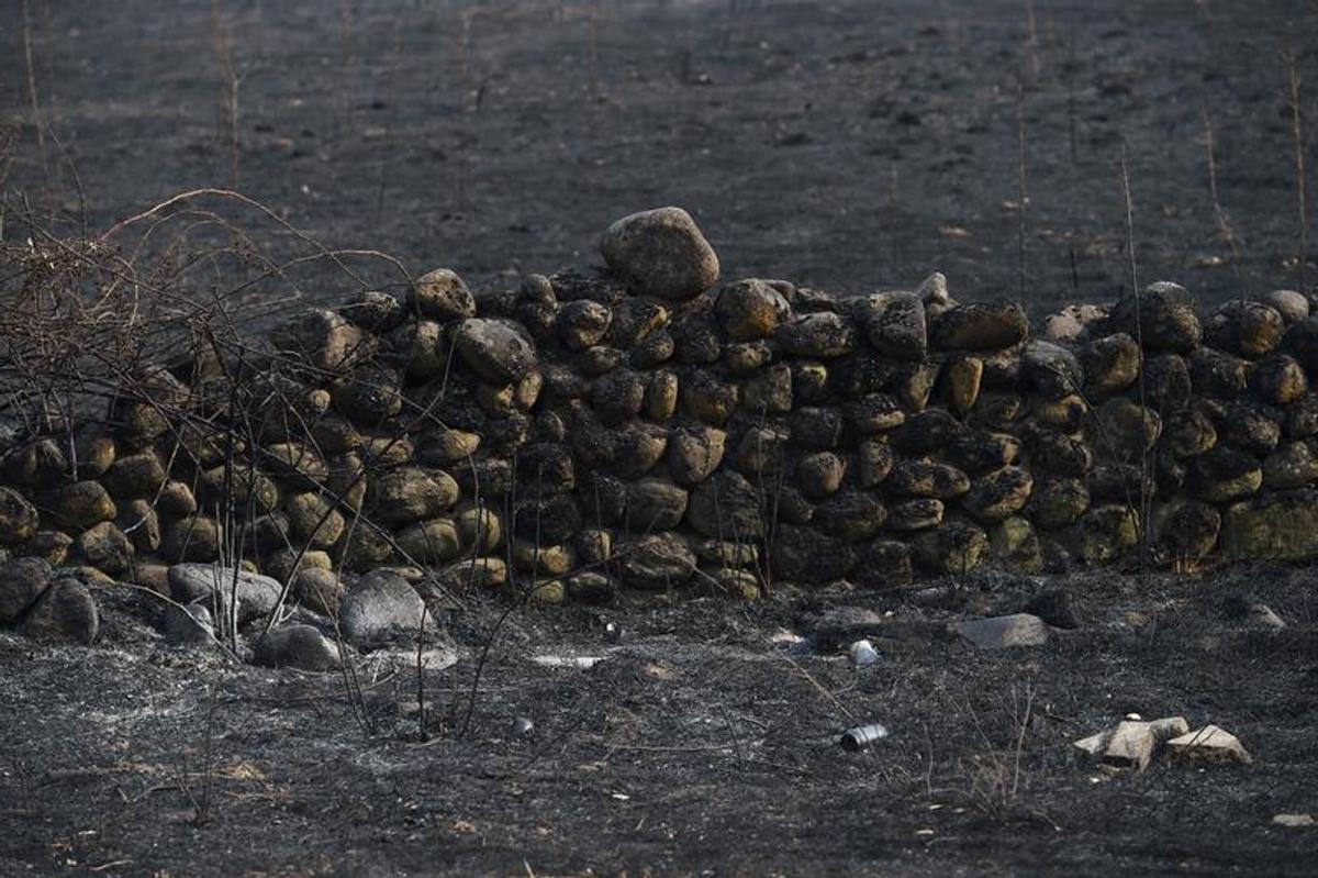 Área afectada por los incendios.
