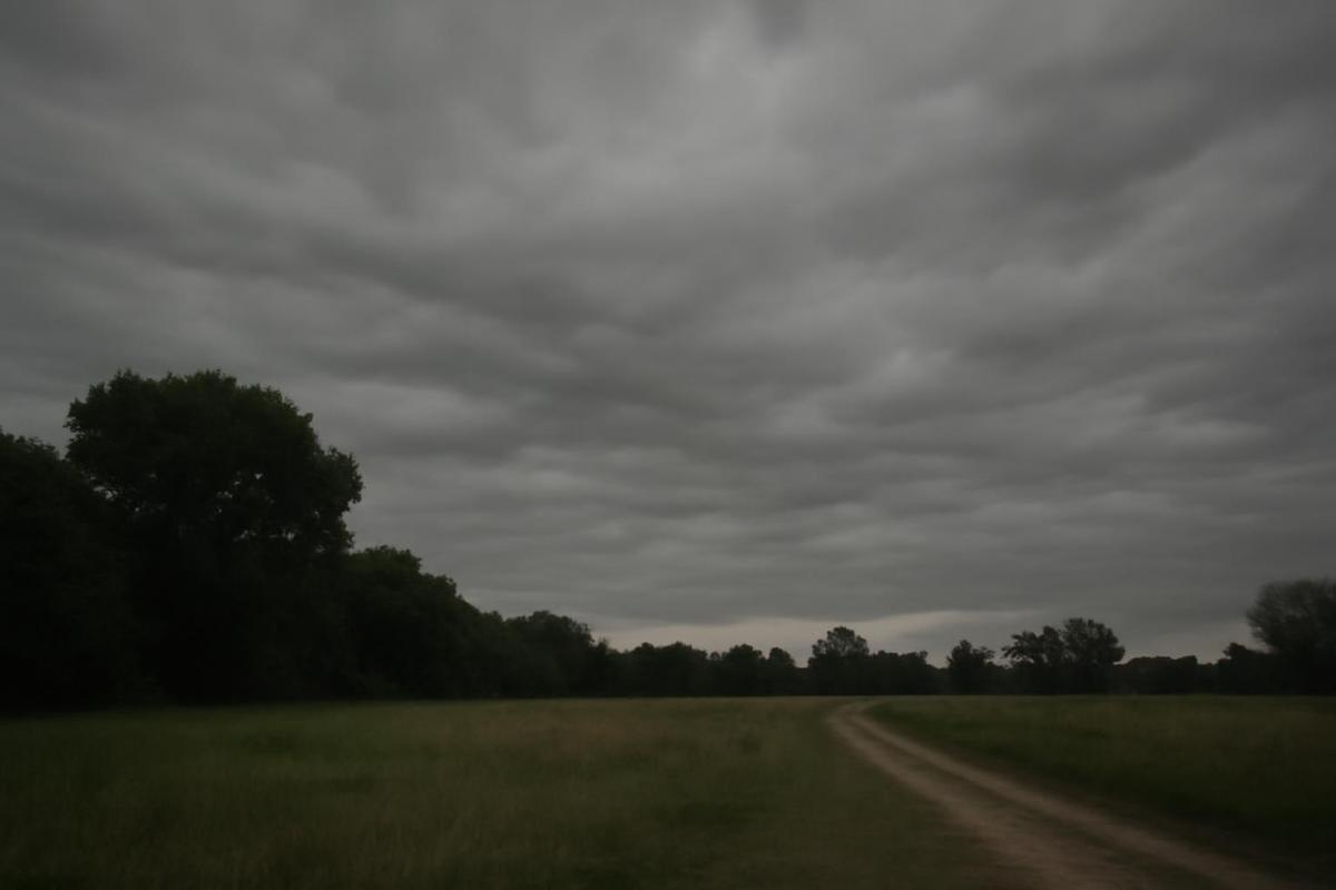 Clima en Rosario: pronóstico del tiempo para el 2 de diciembre