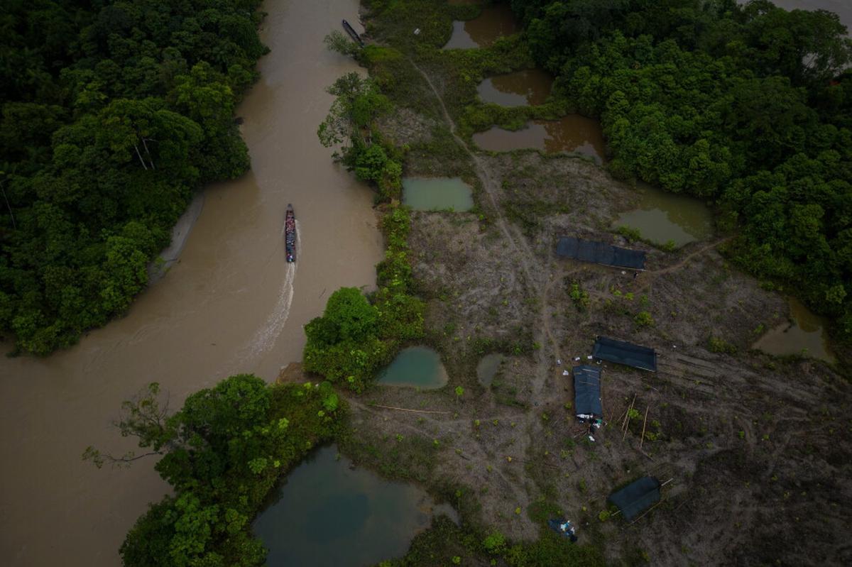Elección en Colombia podría redefinir el futuro de Amazonía ante el giro político en América Latina