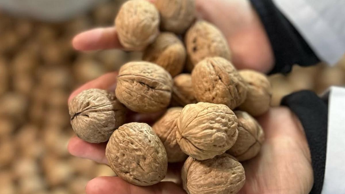 Mendoza, tierra de nueces: los hermanos Reina y el sueño de Uconuts