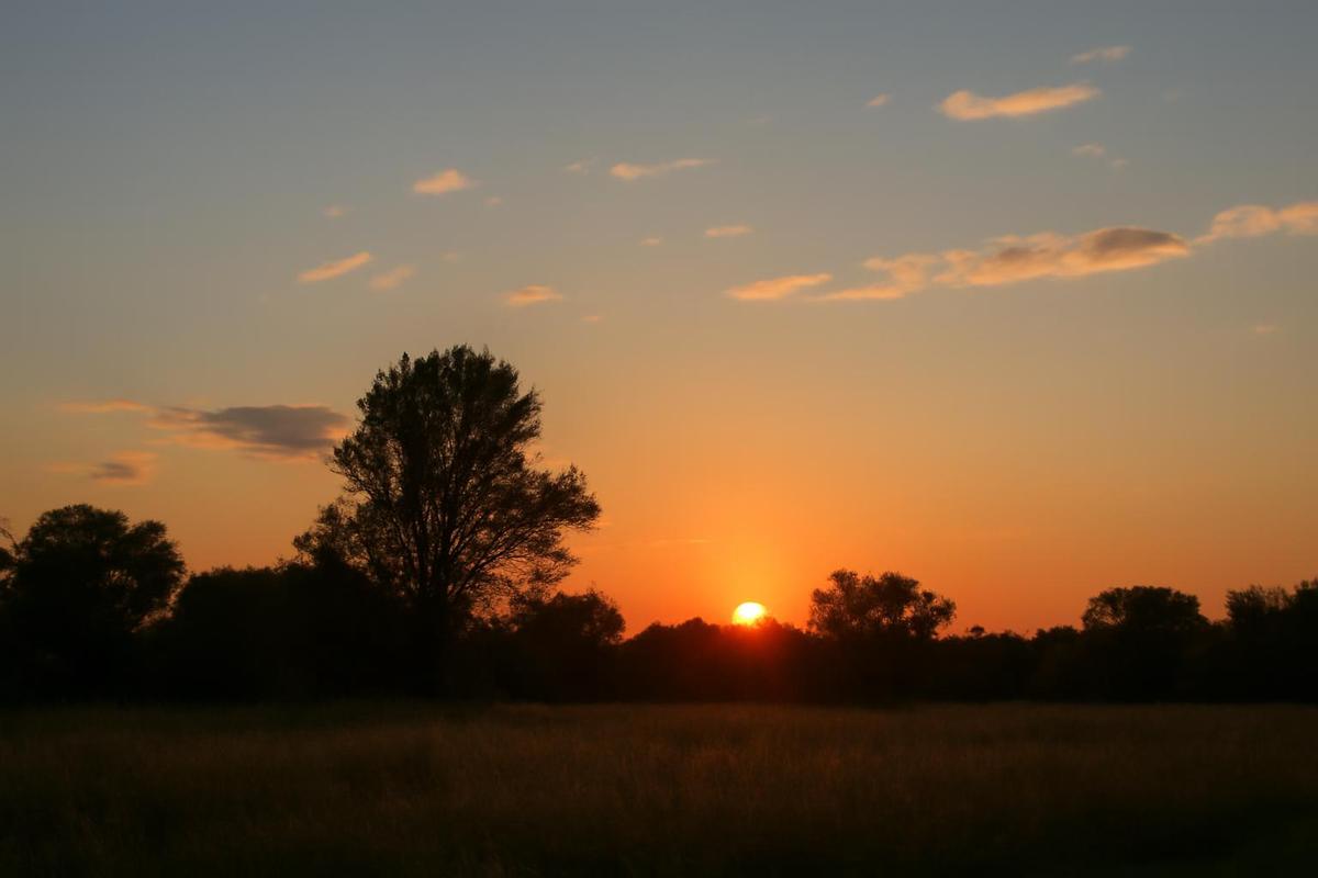 Clima en CABA: pronóstico del tiempo para el 11 de abril