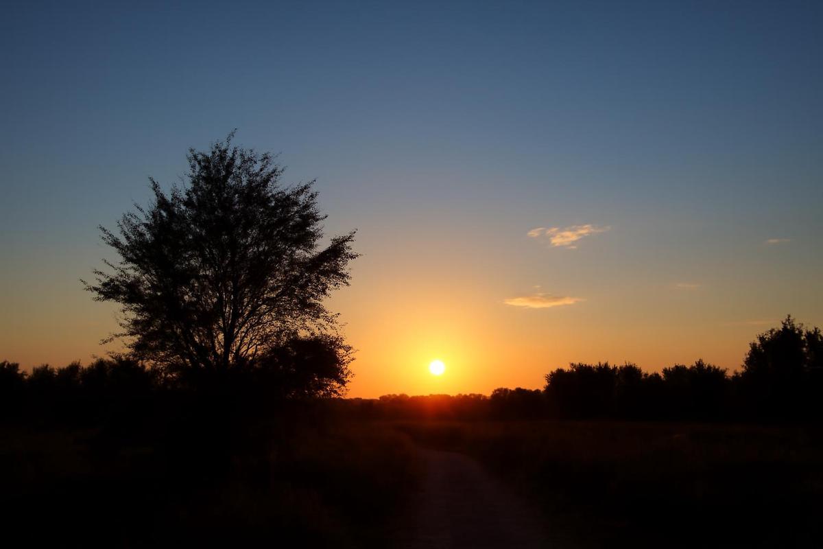 Clima en Mendoza: pronóstico del tiempo para el 15 de septiembre