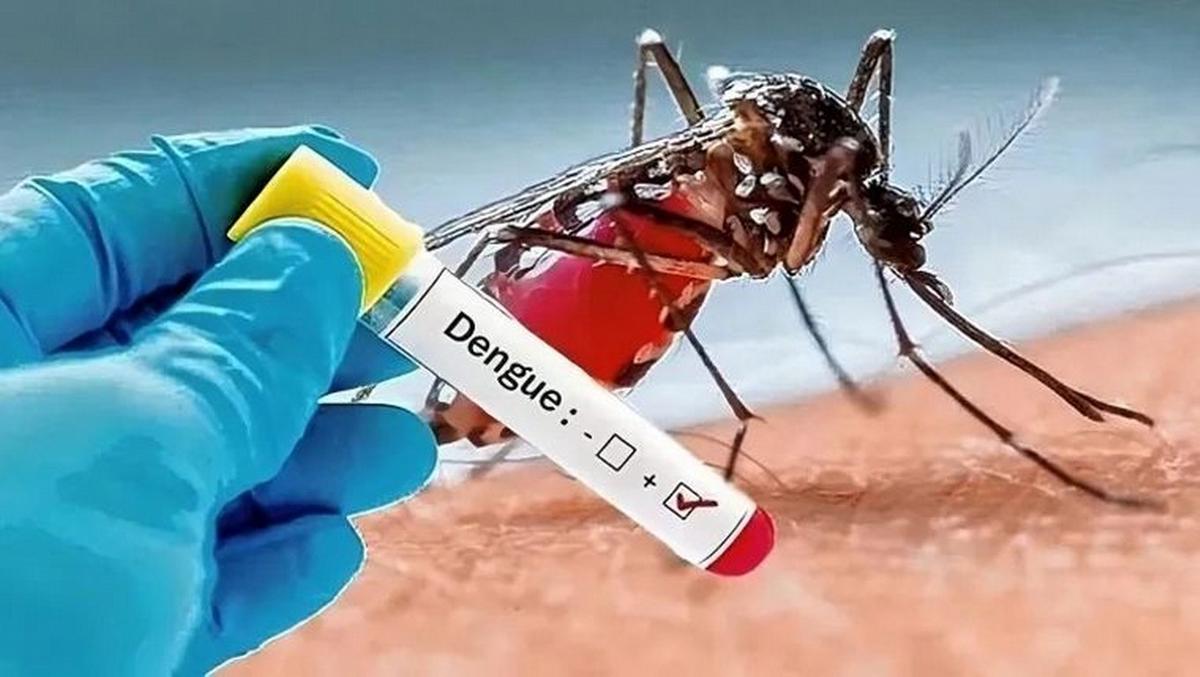 FOTO: Dengue: Se recomienda eliminar criaderos de mosquitos, estar atentos a síntomas