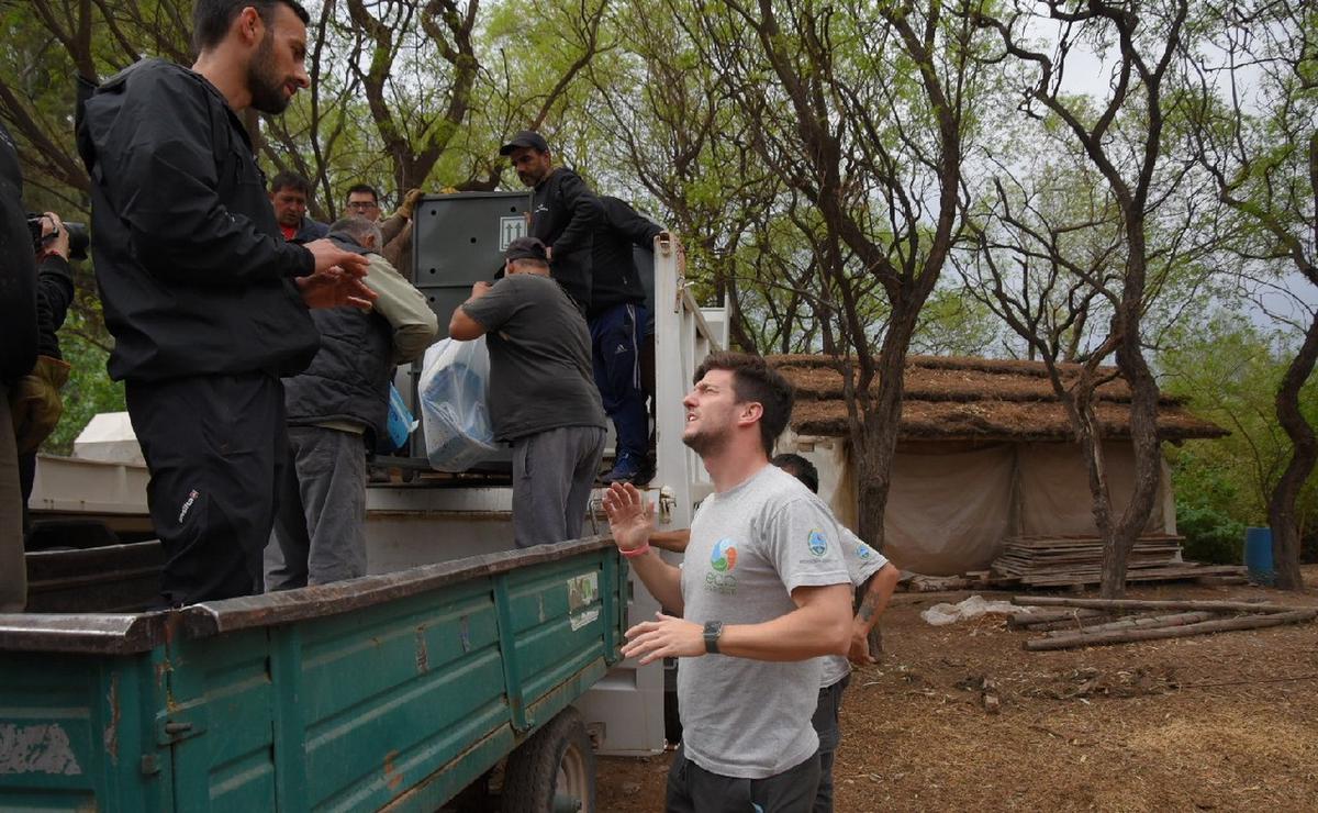 FOTO: Operativo en Mendoza para trasladar a Lucy a Estados Unidos. (Foto: Gob. de Mendoza)