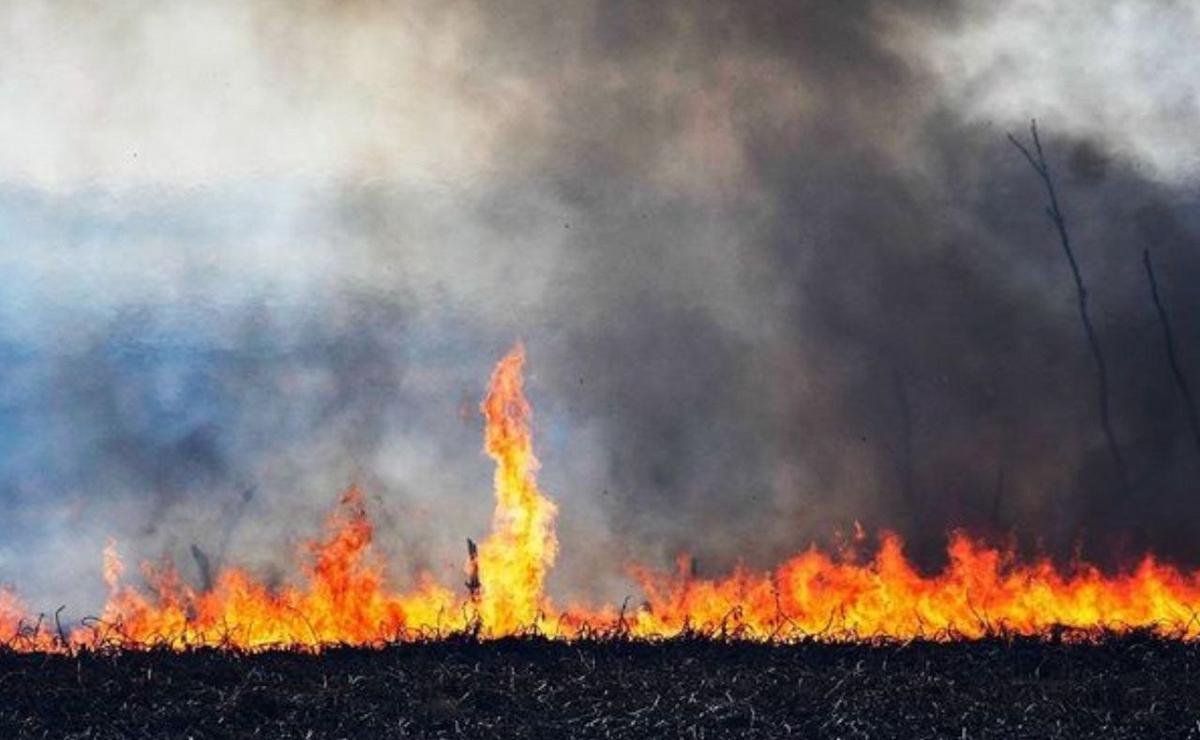 FOTO: Incendios intencionales en Entre Ríos afectan a Rosario.