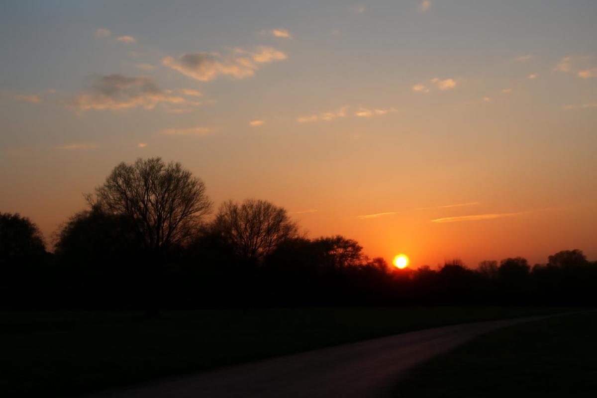 Clima en Rosario: pronóstico del tiempo para el 12 de abril