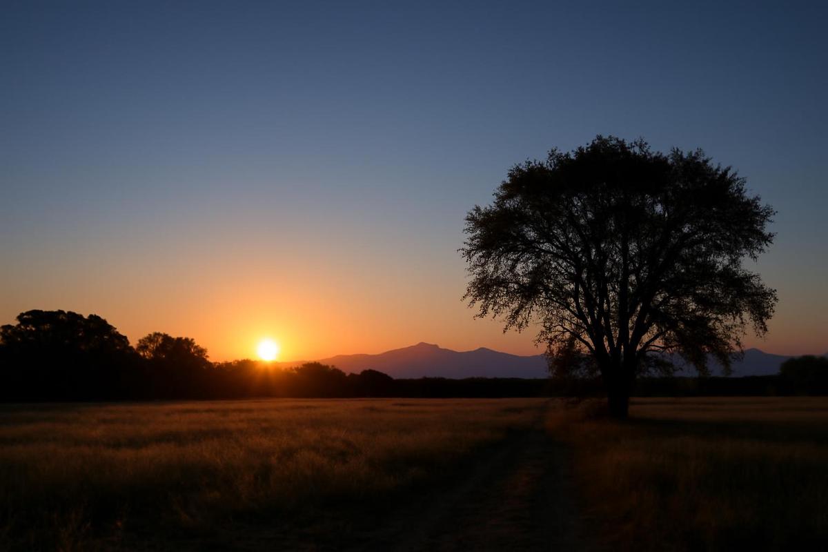 Clima en Salta: pronóstico del tiempo para el 23 de noviembre