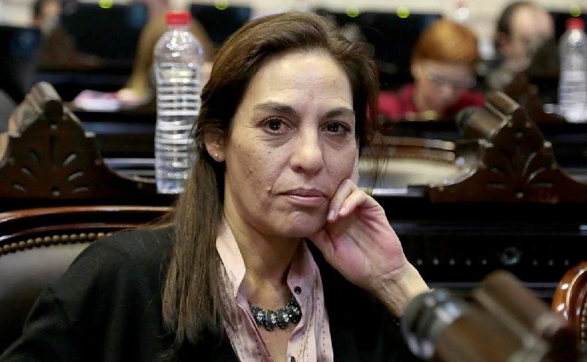 Carla Carrizo, diputada de la UCR. (Foto: gentileza)