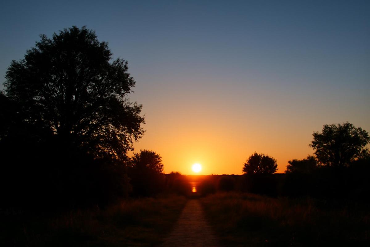 Clima en CABA: alerta amarilla por calor extremo este 11 de diciembre